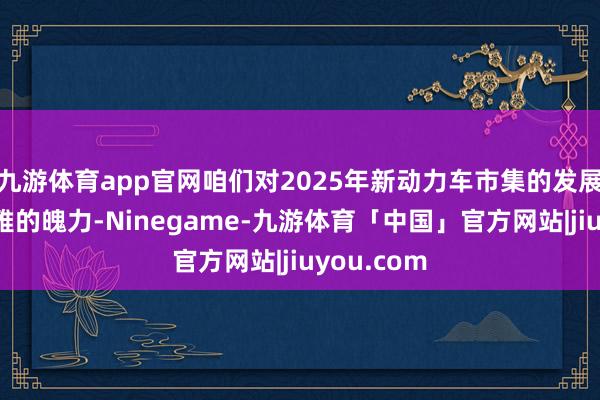 九游体育app官网咱们对2025年新动力车市集的发展保抓乐不雅的魄力-Ninegame-九游体育「中国」官方网站|jiuyou.com